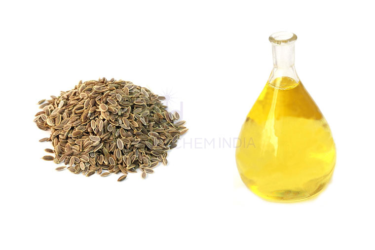Dil Seed Oil