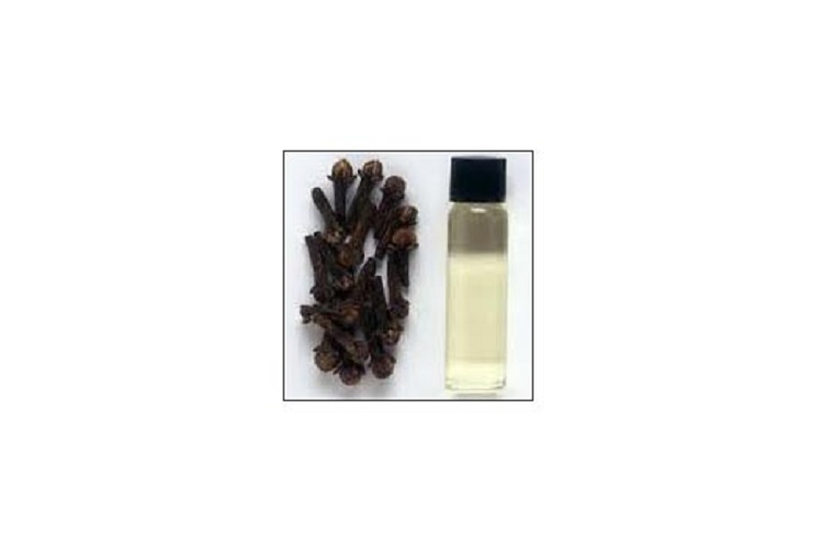 Clove Oil