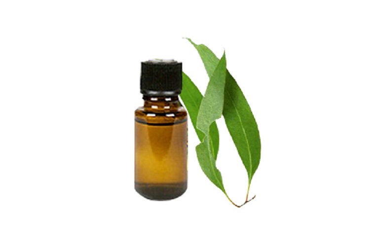 Eucalyptus Oil