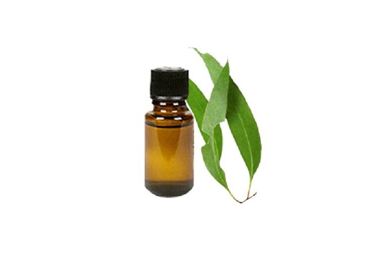 Eucalyptus Oil